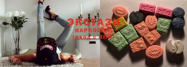СК Новозыбков