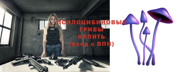 СК Новозыбков