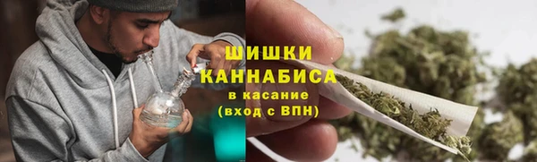 СК Новозыбков