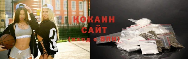 СК Новозыбков