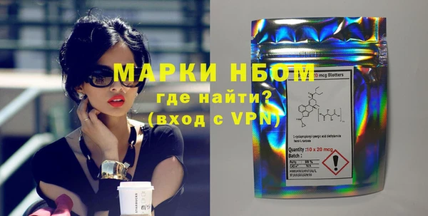 СК Новозыбков