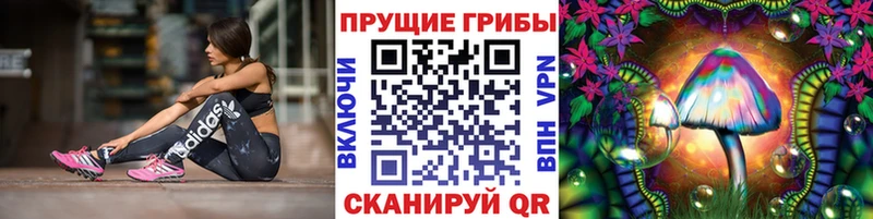 Купить где Нея Галлюциногенные грибы мицелий